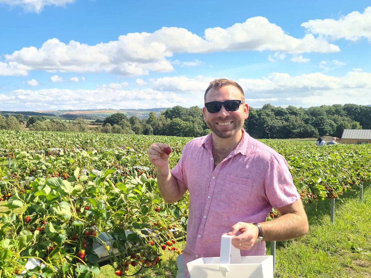 Andrew holding a freshly picked strawberry in a sunny field